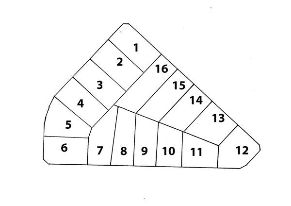 Stake Your Claim Picture 2