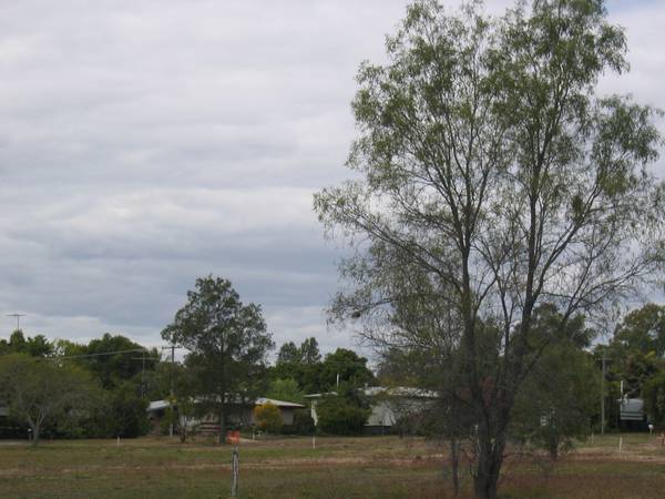 Stake Your Claim Picture 1