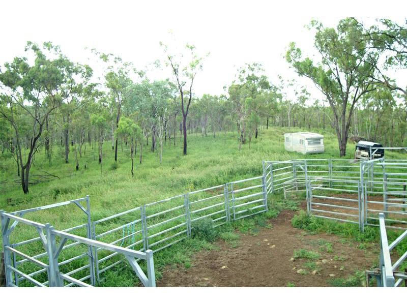 Weekend Retreat on 200 Acres Picture 3