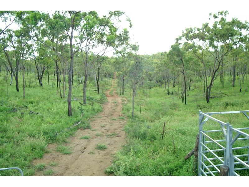 Weekend Retreat on 200 Acres Picture 2