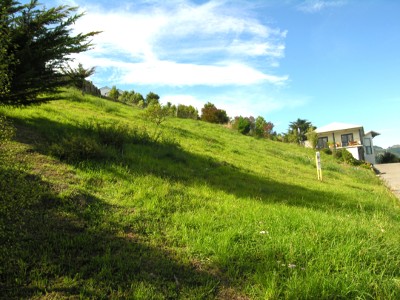 Vendor on the Move >>> REDUCED $225,000 Neg Over Picture