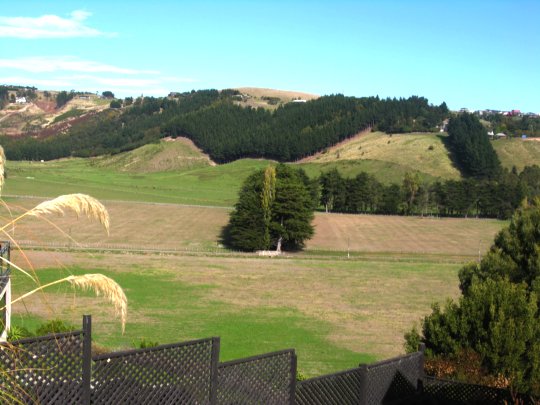 Vendor on the Move >>> REDUCED $225,000 Neg Over Picture 3