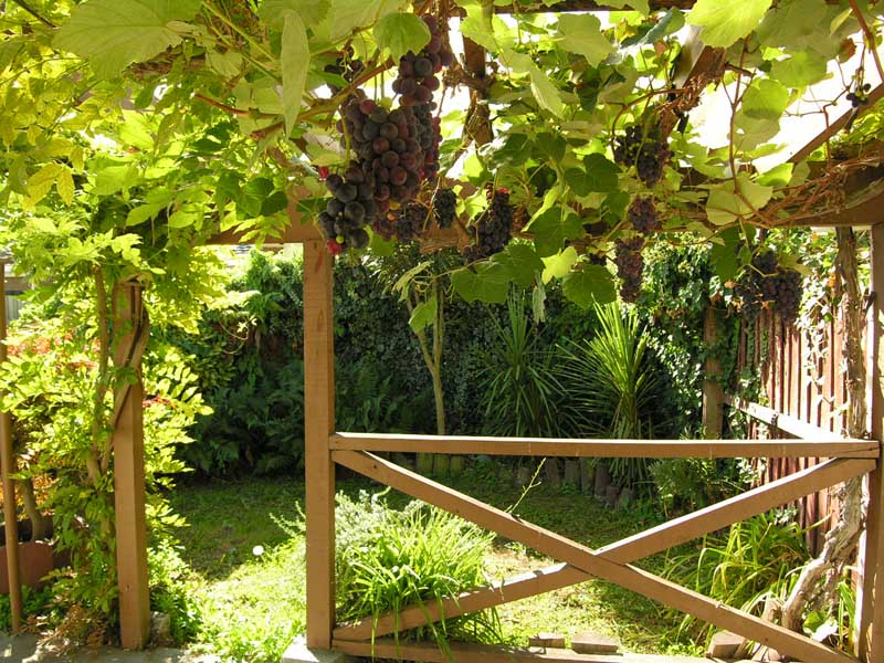 Close to City Picture 3