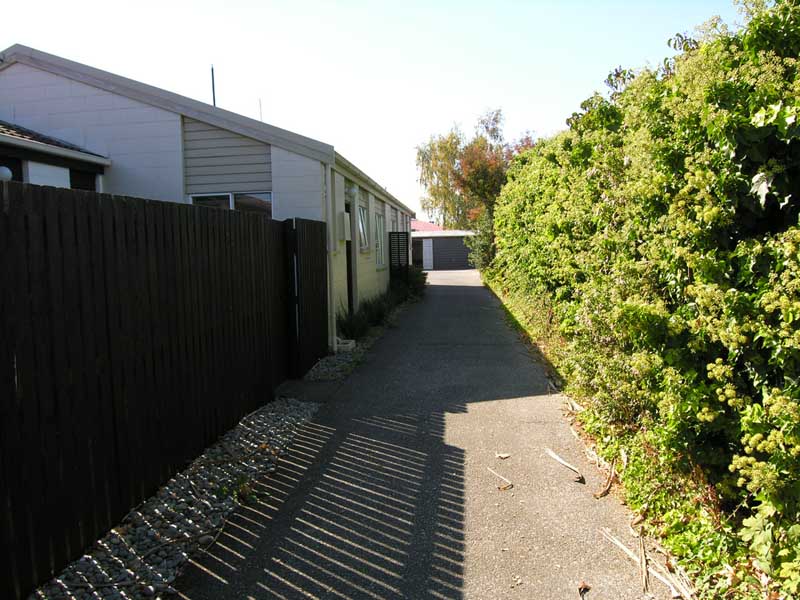 Close to City Picture 1