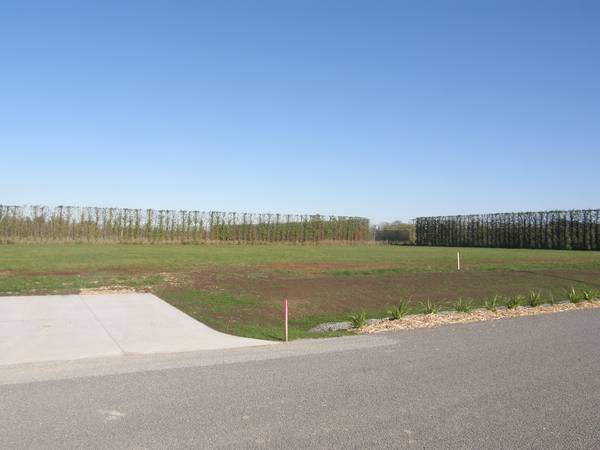 The Best of Both Worlds! Picture 1