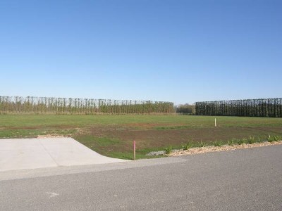 The Best of Both Worlds! Picture