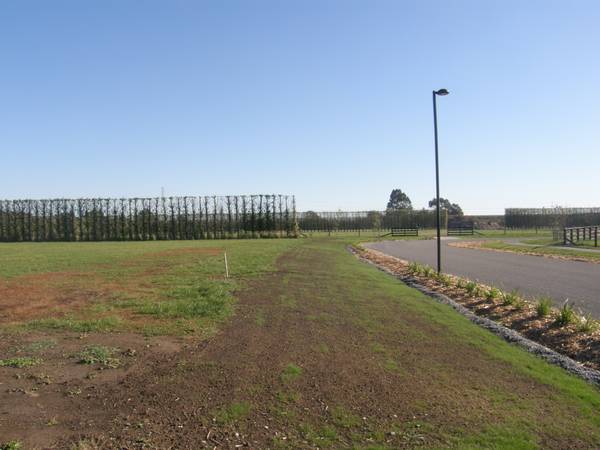 The Best of Both Worlds! Picture 3