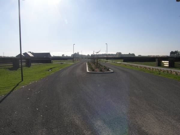 The Best of Both Worlds! Picture 2