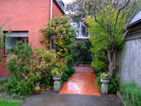 41C Matai Street West Picture 41C Matai Street West Picture