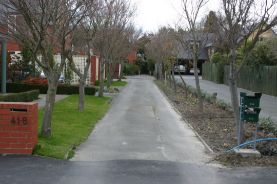 41C Matai Street West Picture 41C Matai Street West Picture