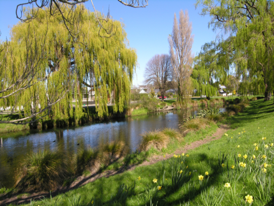 As Rare As Hens Teeth Picture As Rare As Hens Teeth Picture