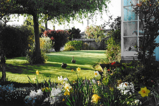 I'm a bit tired Picture I'm a bit tired Picture