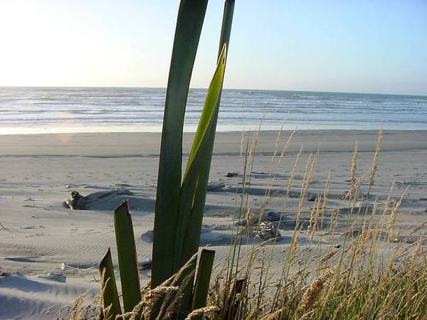 A Piece of Paradise
- $180,000 Neg Over Picture 2