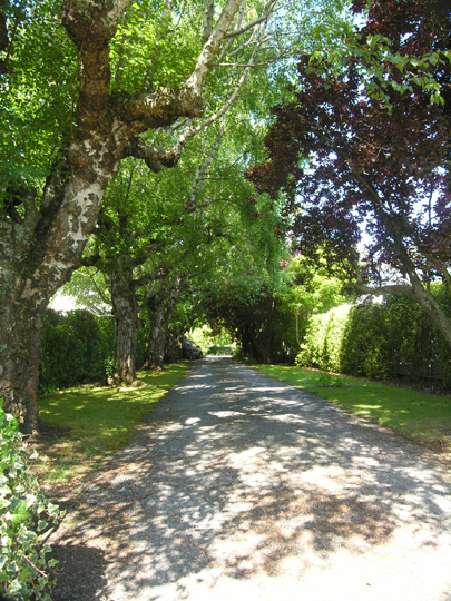 Sun Filled Home with Swimming Pool & River Boundary Picture