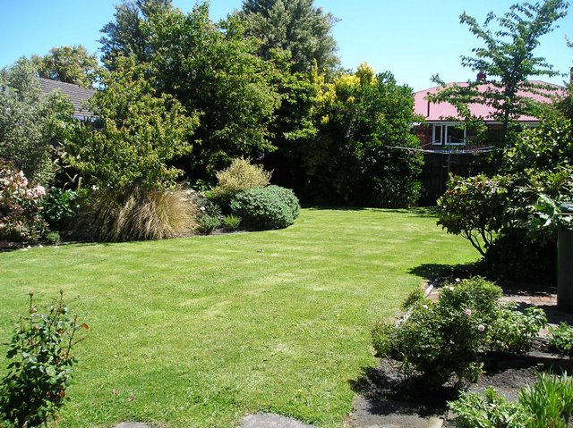 Private Sunny Garden Setting Picture 3