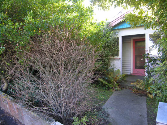 City Life....Rent or Redevelop. Buyers in High $300,000s Picture 2