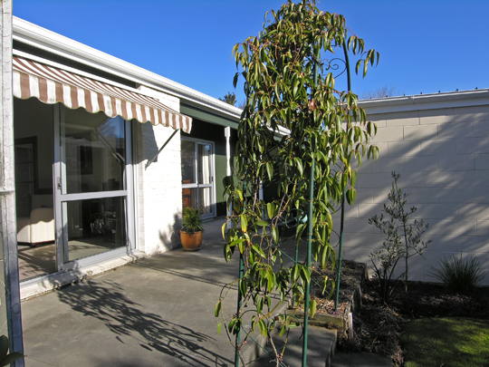 Super Sunny and Private Picture 3