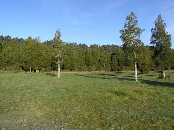 Affordable Slice of Paradise Picture 1