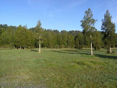 Affordable Slice of Paradise Picture