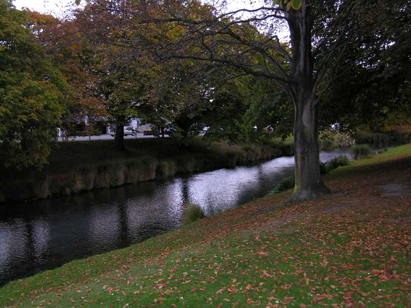 Sunny Compact Apartment Picture 2