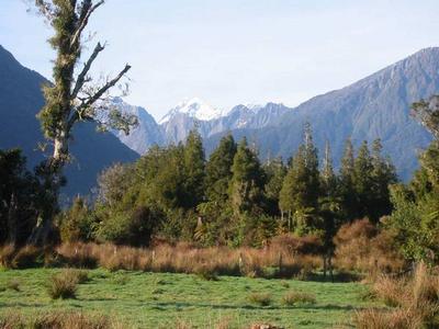 Development Potential - $450,000 + GST Picture