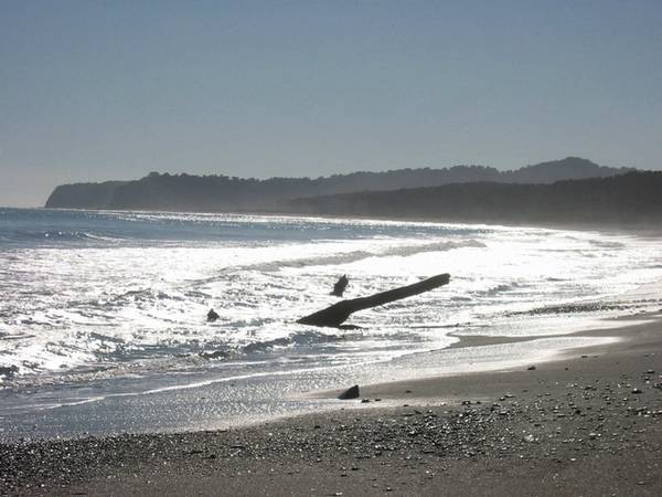 Development Potential - $450,000 + GST Picture 2