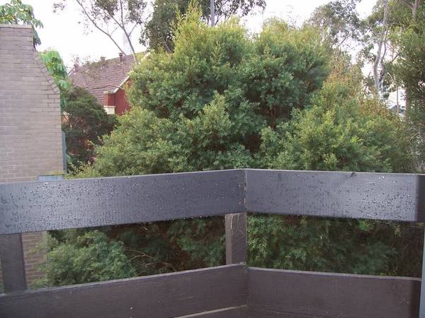 OPEN FOR INSPECTION SATURDAY 16TH AUGUST @ TBA Picture 1