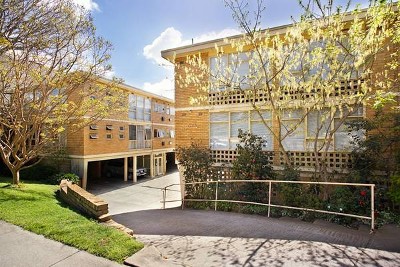 Cool & Exciting Picture