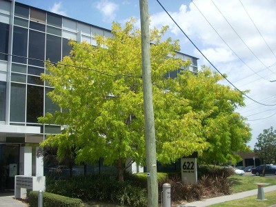 HUGE RENT FREE OFFERED Picture