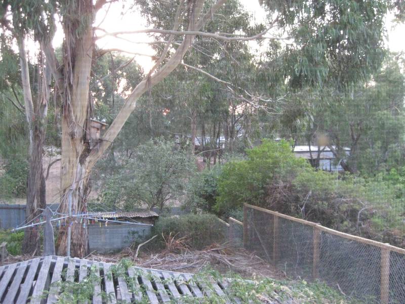 BY APPOINTMENT ONLY - CALL DOT TO INSPECT 0422 783 838 Picture 3