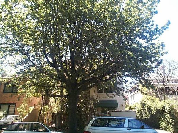 BY APPOINTMENT ONLY Picture 1