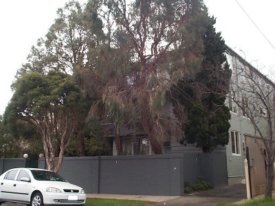 OPEN FOR INSPECTION SATURDAY 15TH AUGUST @ TBA Picture