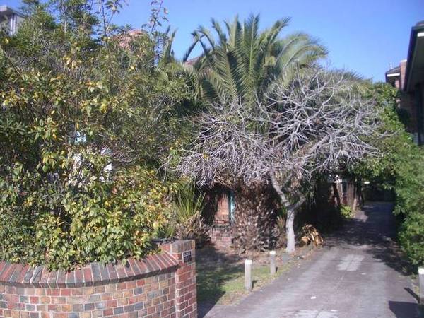 BY APPOINTMENT ONLY Picture 1