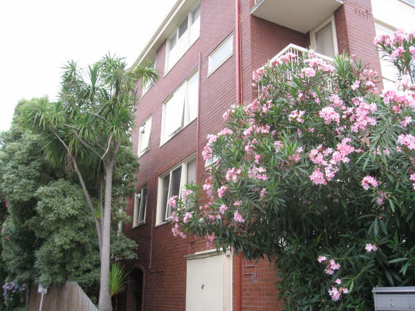 APPLICATION PENDING Picture 1