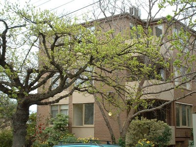 BY APPOINTMENT ONLY Picture BY APPOINTMENT ONLY Picture