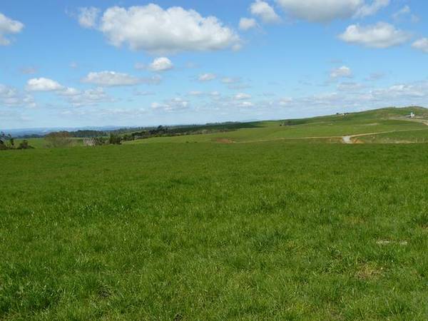 COME AND ENJOY THE BAY OF ISLANDS EXPERIENCE Picture