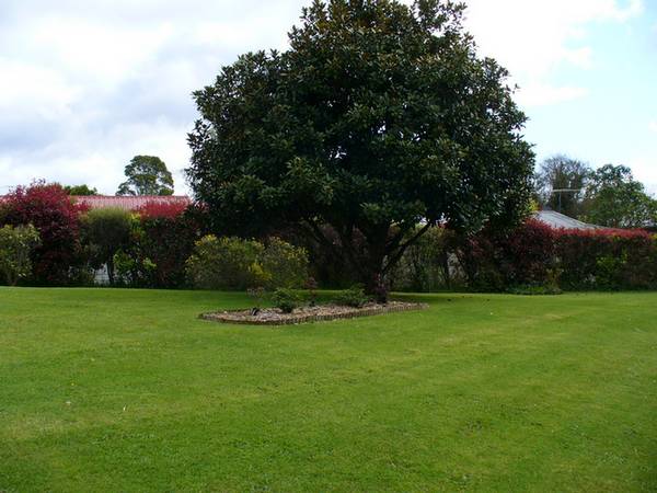 ONE BEDROOM UNIT Picture