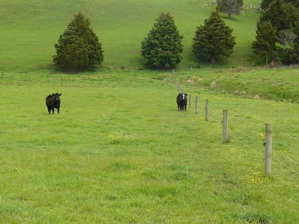 HIGH MOTIVATION/ DISCOUNTED PRICE Picture HIGH MOTIVATION/ DISCOUNTED PRICE Picture