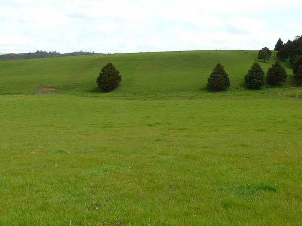 HIGH MOTIVATION/ DISCOUNTED PRICE Picture HIGH MOTIVATION/ DISCOUNTED PRICE Picture