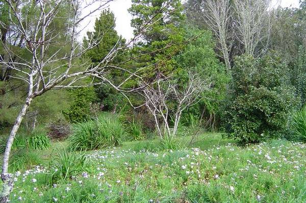 DECEASED ESTATE - FAMILY SAY SELL!! Picture 3