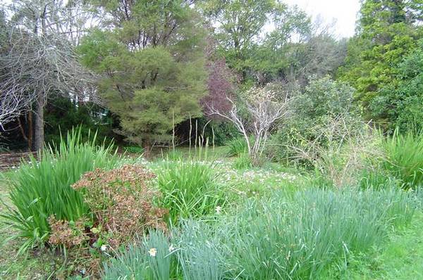 DECEASED ESTATE - FAMILY SAY SELL!! Picture 2