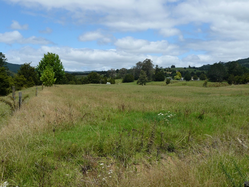 CHEAP! CHEAP! CHEAP! Picture 2