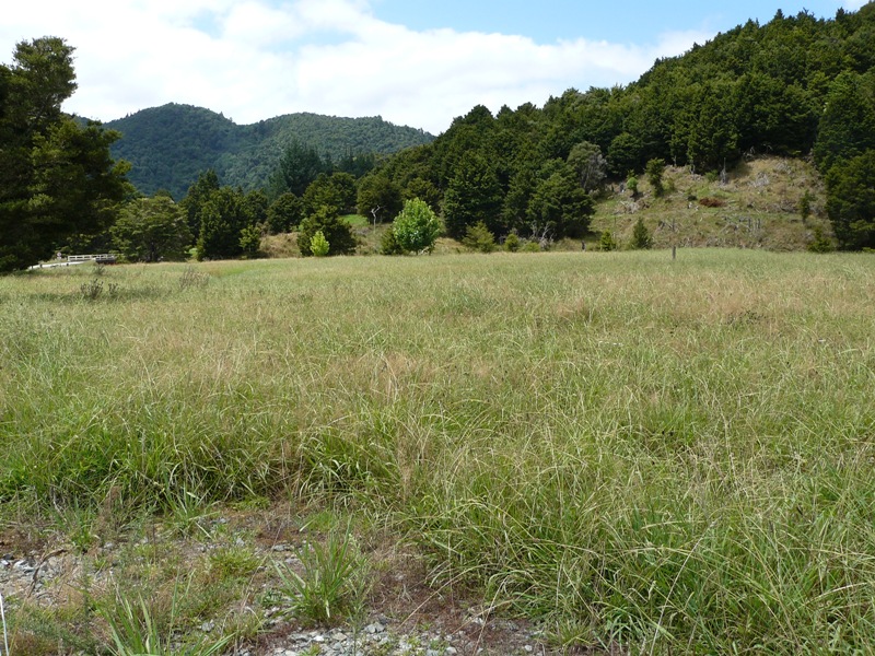 CHEAP! CHEAP! CHEAP! Picture 1