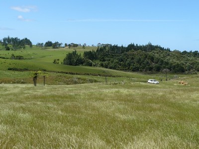 Create Your Own Landscape Picture