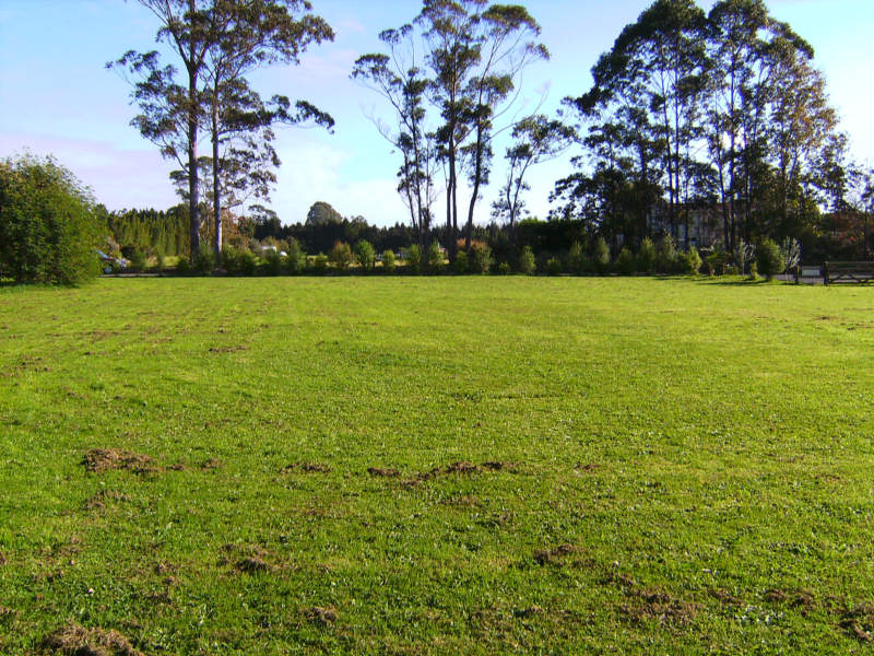 Auction to be held at Century 21 Kerikeri Office Picture Auction to be held at Century 21 Kerikeri Office Picture