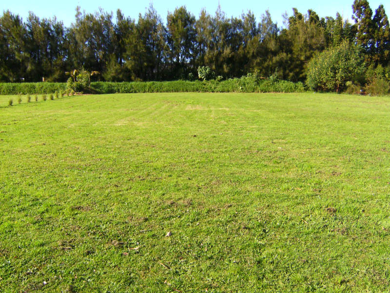 Auction to be held at Century 21 Kerikeri Office Picture Auction to be held at Century 21 Kerikeri Office Picture