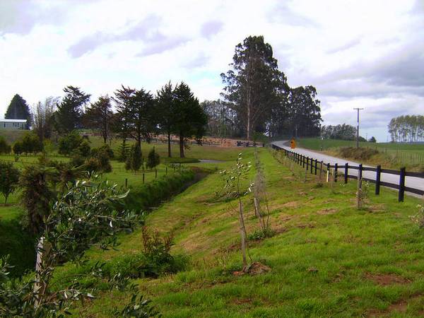 CUTE RURAL PROPERTY Picture 3