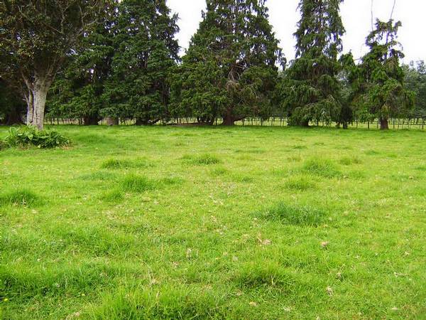 RURAL LIVING Picture 2