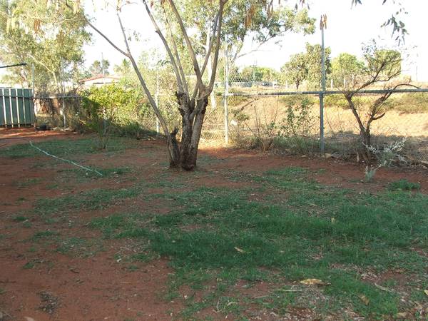 Invest or Nest! Picture 2