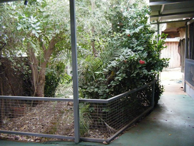 WHEN ONLY THE BEST WILL DO!!! Picture 3